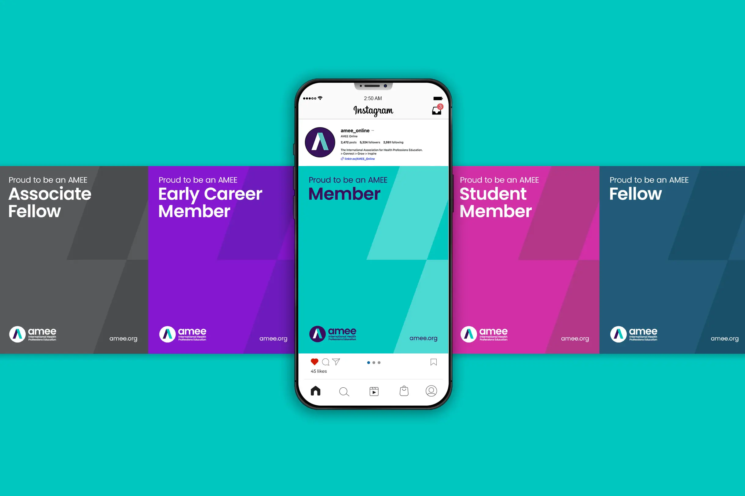 amee-rebrand_12