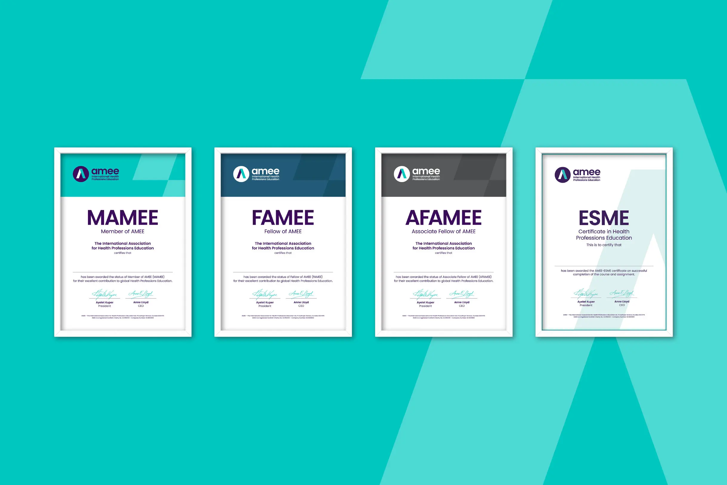 amee-rebrand_9